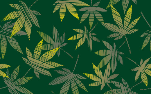 1142337 (a): :1920x1200